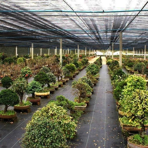 Sombrite 50% 4 x 10m Para Horta jardinagem decoração jardim promoção