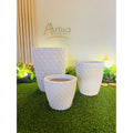 kit com 3 Vasos para plantas em Polietileno redondo diamante PP, P e M com pratos coletores