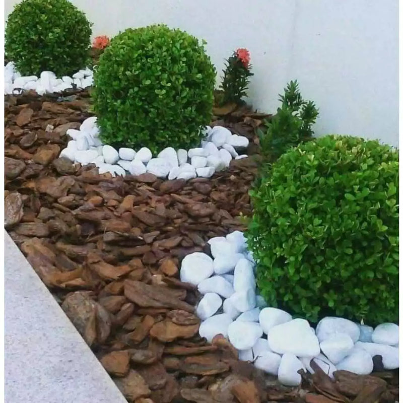 Casca De Pinus Semi Polida Natural Jardinagem Decoração